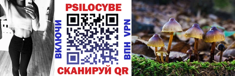 Псилоцибиновые грибы Cubensis  наркотики  Яровое 